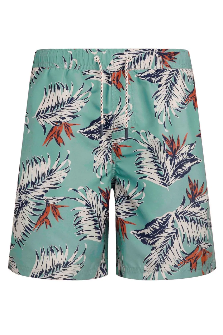 Weird Fish Shorts|Belukha Printed Swim Shorts Mineral Blue