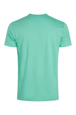 Weird Fish T-Shirts|Coordinates Eco Front Print Graphic T-Shirt Aqua Marine