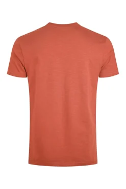Weird Fish T-Shirts|Fished Organic Cotton Branded T-Shirt Baked Clay