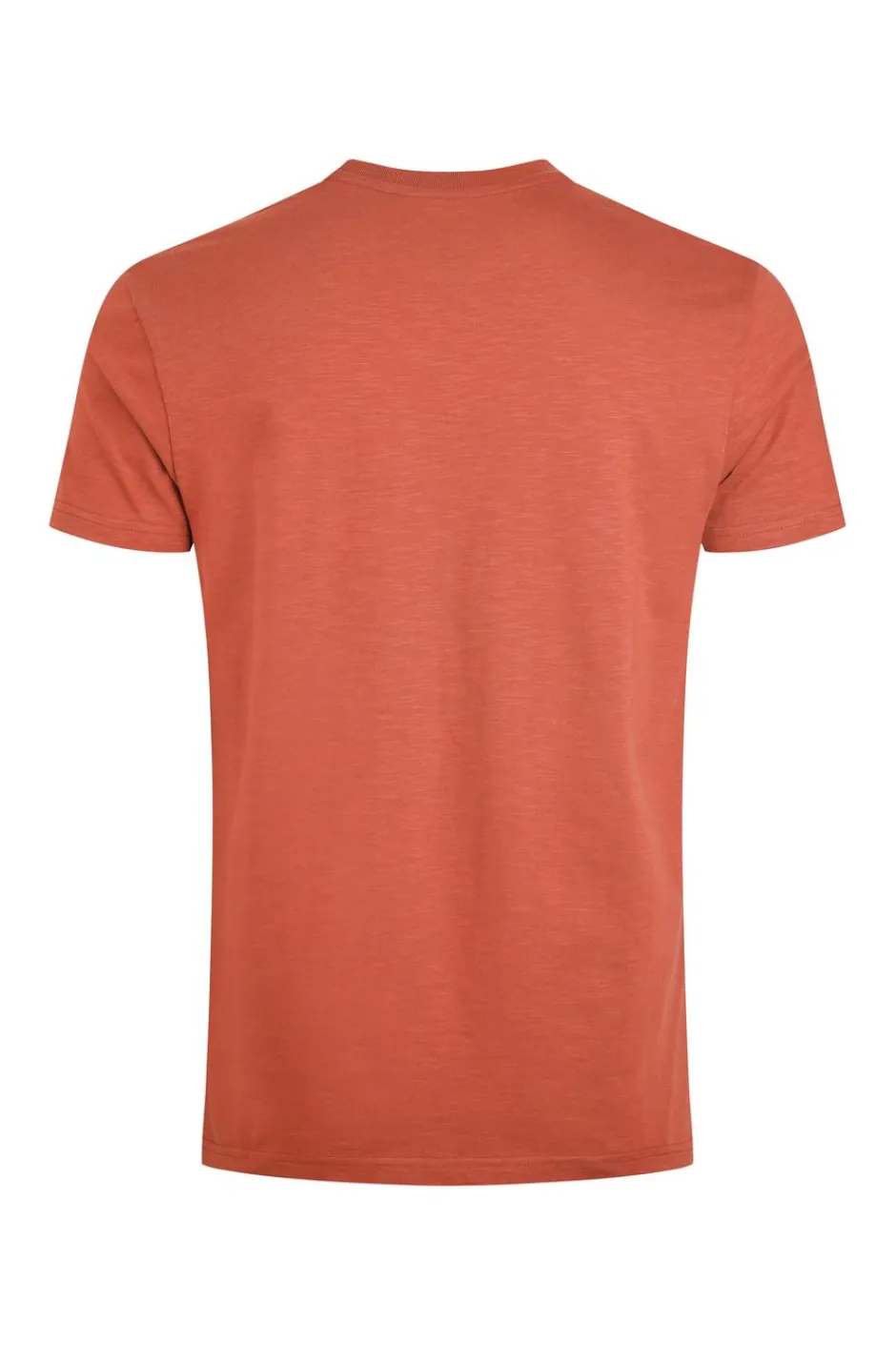 Weird Fish T-Shirts|Fished Organic Cotton Branded T-Shirt Baked Clay