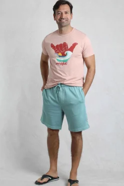 Weird Fish Shorts|Hamilton Sunwashed Sweatshirt Shorts Mineral Blue