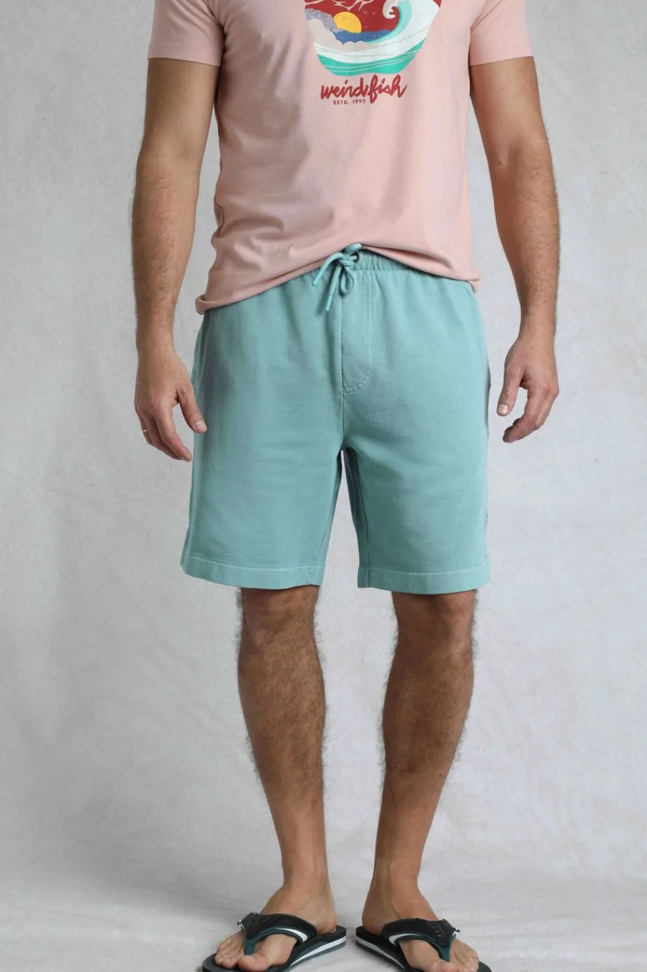 Weird Fish Shorts|Hamilton Sunwashed Sweatshirt Shorts Mineral Blue