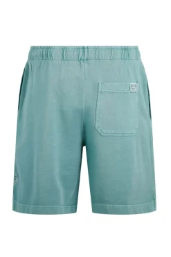 Weird Fish Shorts|Hamilton Sunwashed Sweatshirt Shorts Mineral Blue