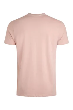 Weird Fish T-Shirts|Hang Loose Eco Graphic T-Shirt Dusty Rose