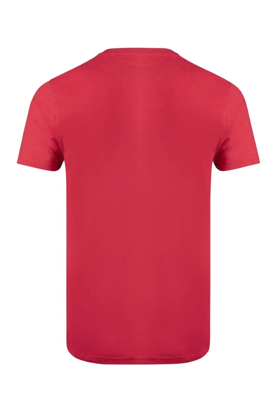 Weird Fish T-Shirts|Hooked Branded T-Shirt Barberry Red Barberry Red Marl