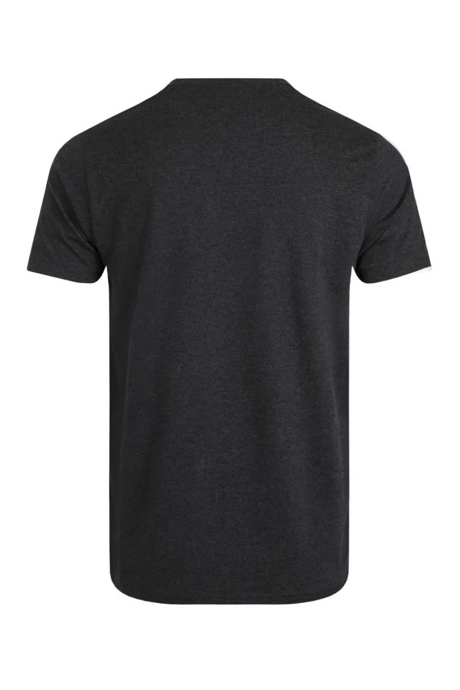 Weird Fish T-Shirts|Hooked Branded T-Shirt Black