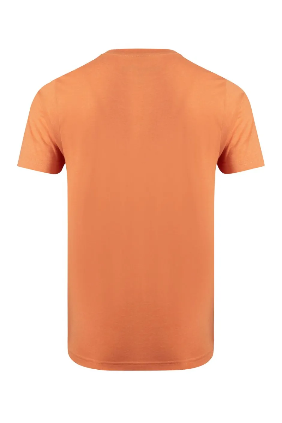 Weird Fish T-Shirts|Hooked Branded T-Shirt Mango