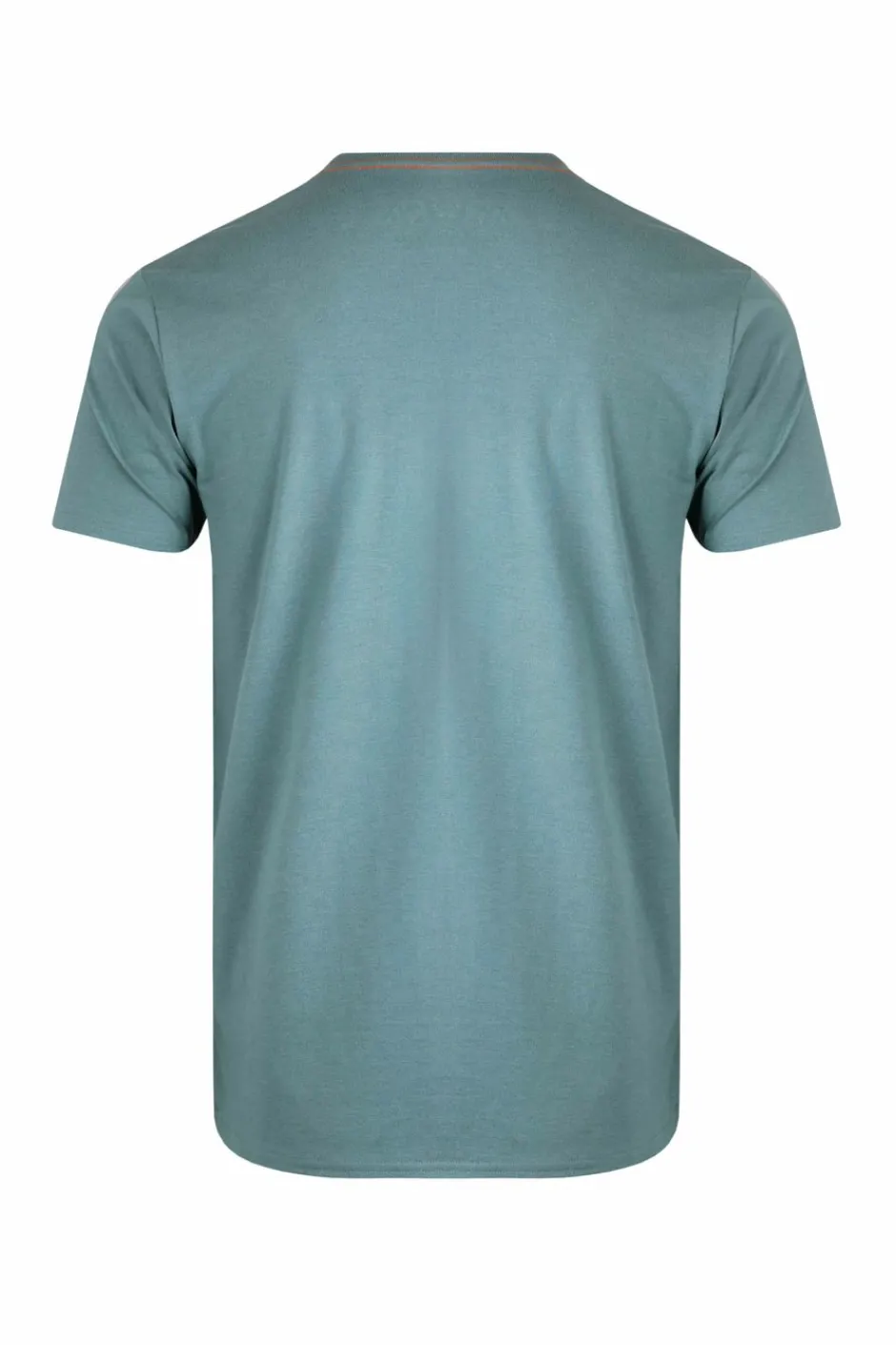 Weird Fish T-Shirts|Man's Best Friend Eco Graphic T-Shirt Mineral Blue