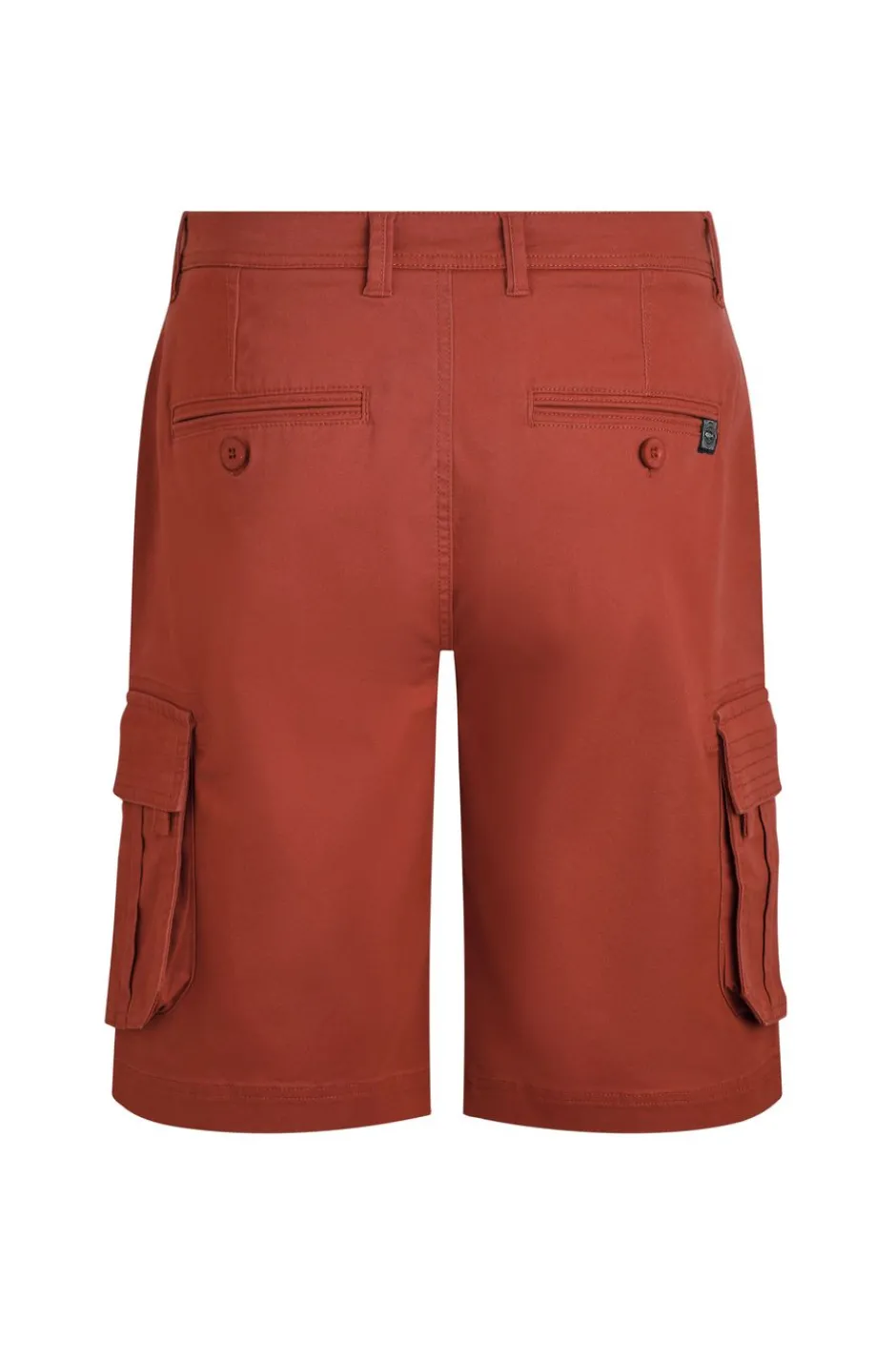 Weird Fish Shorts|Rigney Cargo Shorts Paprika