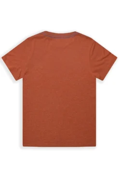 Weird Fish Kids Tops & T-Shirts|Ripple Kids Eco Graphic T-Shirt Nut
