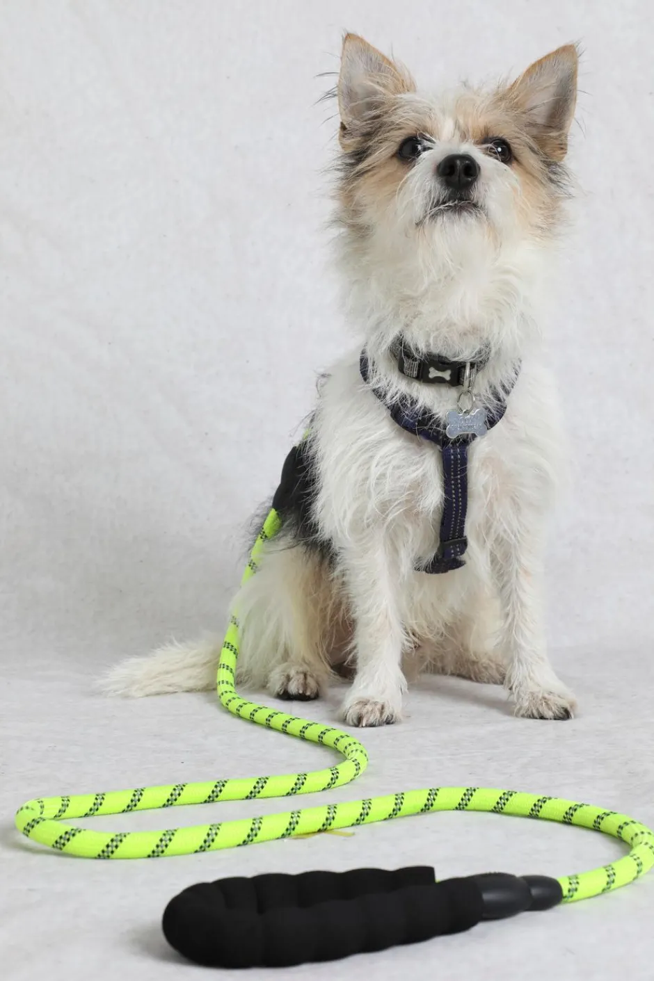 Weird Fish Caps & Scarves|Scarves & Caps|Wilf Reflective Rope Dog Lead Acid Lime